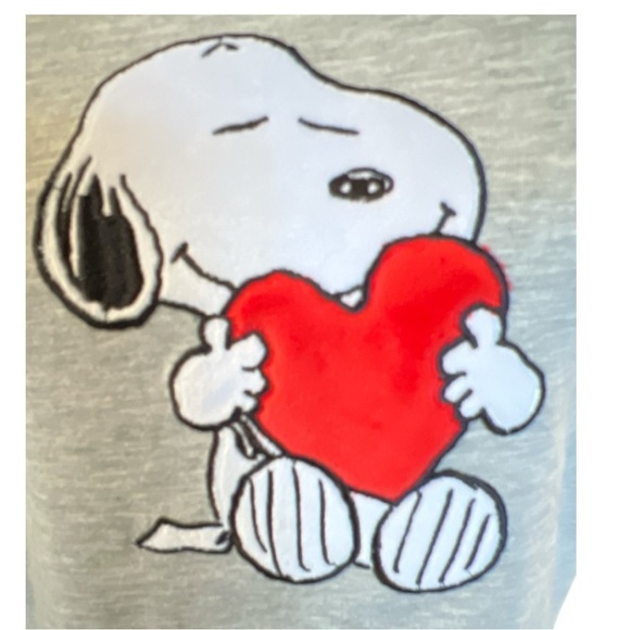 Gray Short Sleeve Tee with Snoopy Graphic - Picture 5 of 5